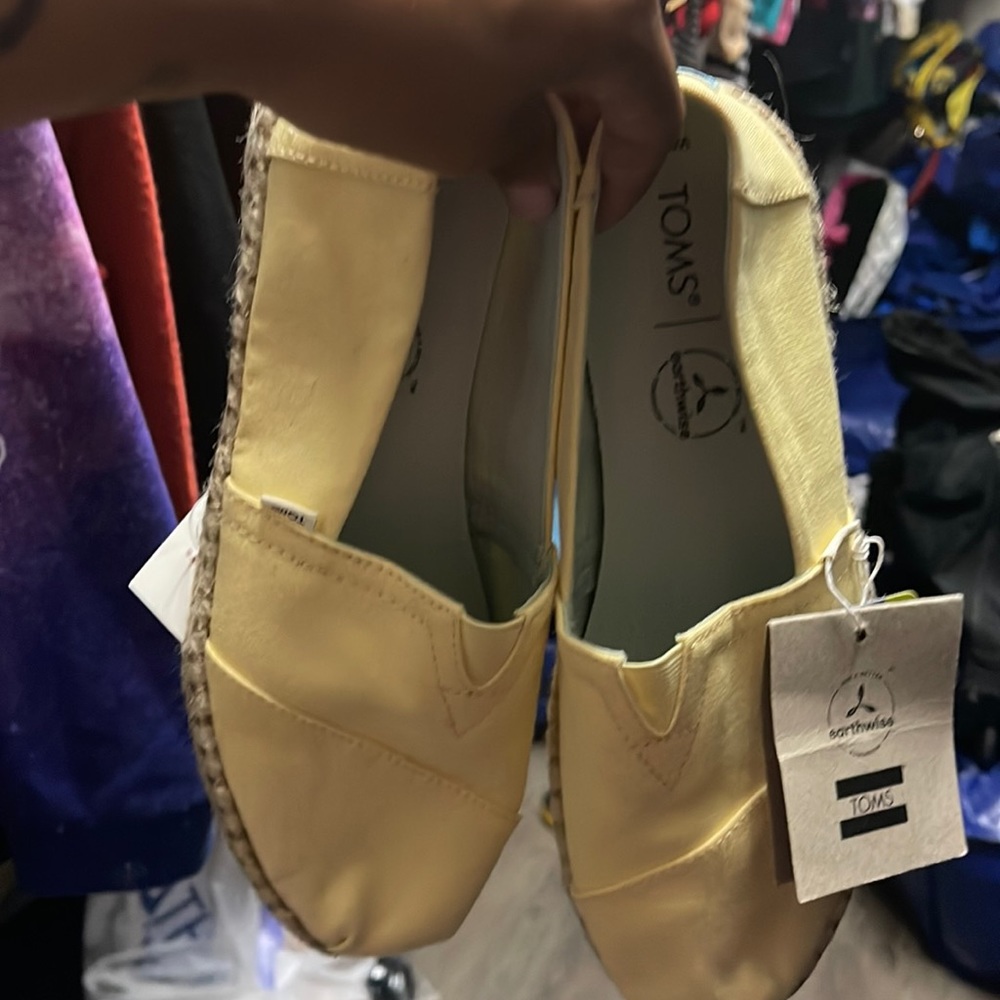 Yellow toms